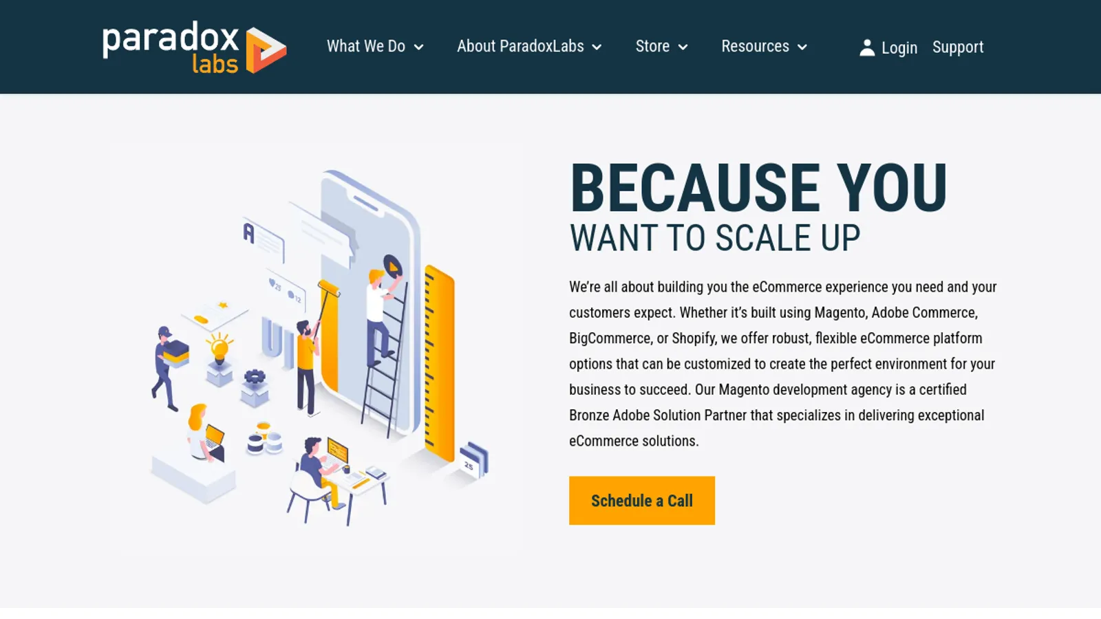 Screenshot of the ParadoxLabs inc homepage
