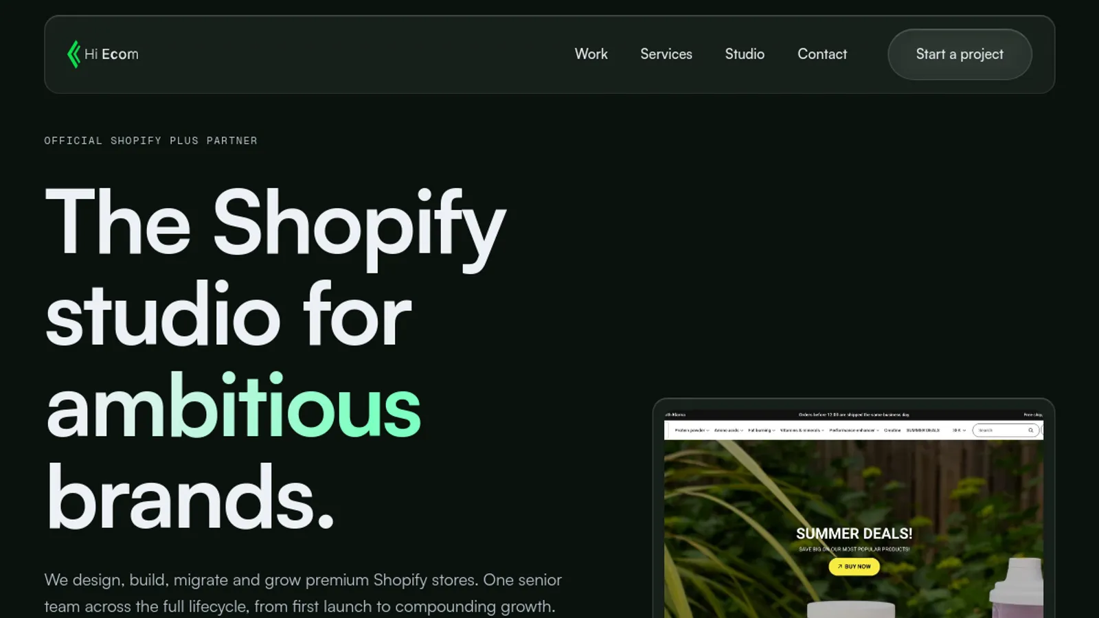 Screenshot of the Hi Ecom homepage