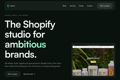 Screenshot of the Hi Ecom homepage