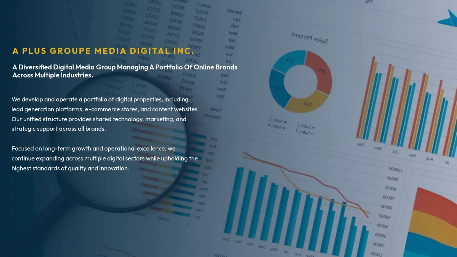 Screenshot of the A Plus Digital homepage
