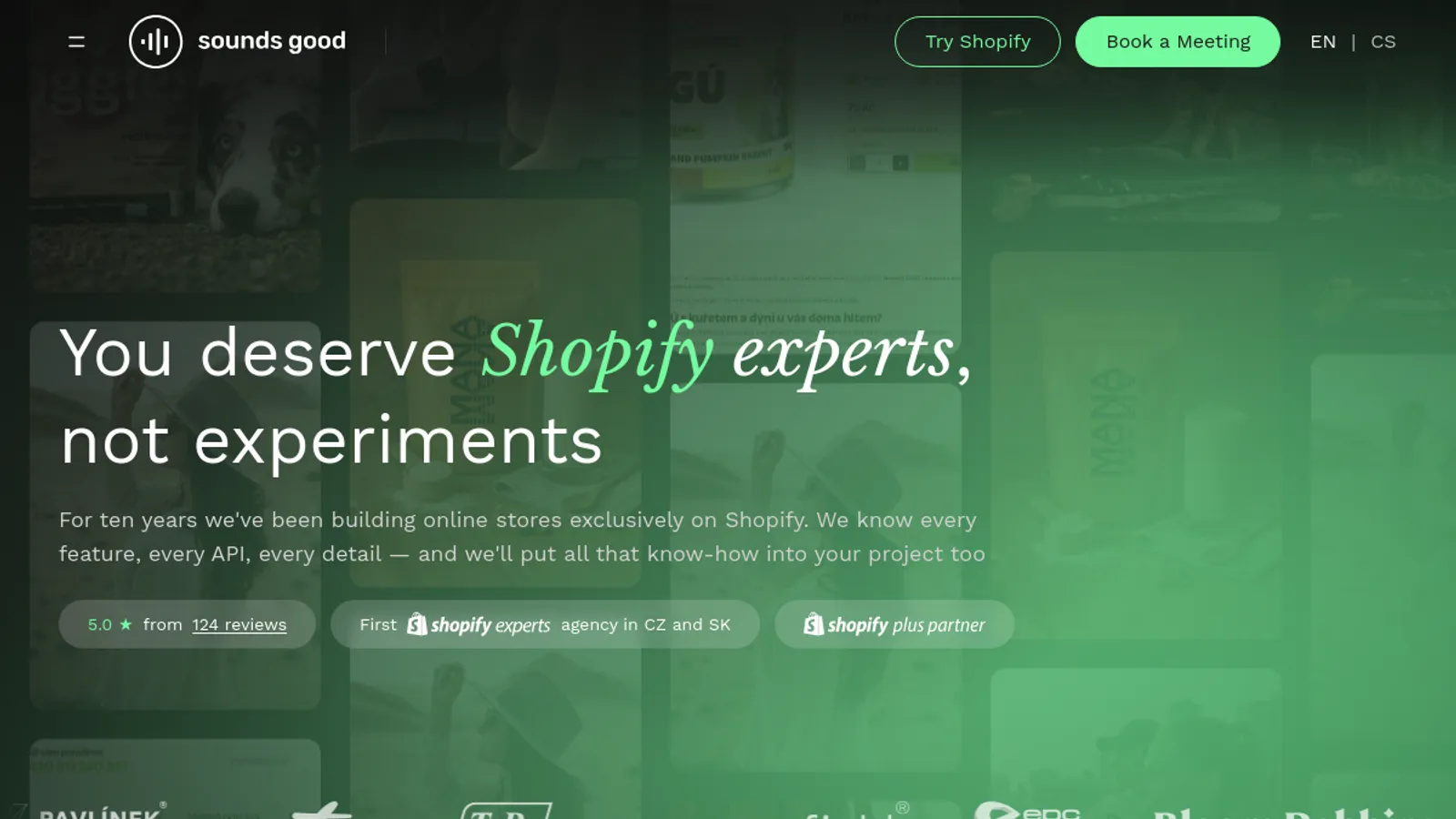 Screenshot of the Sounds good agency s.r.o. homepage