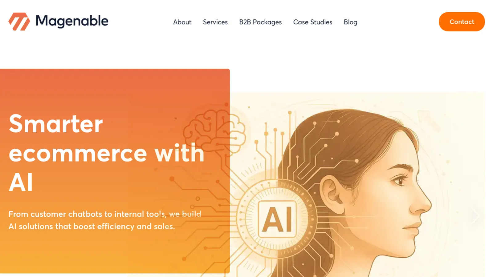 Screenshot of the Magenable homepage