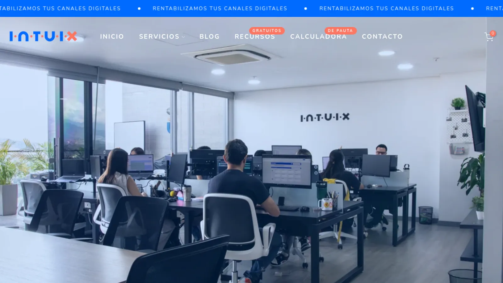 Screenshot of the Intuix homepage