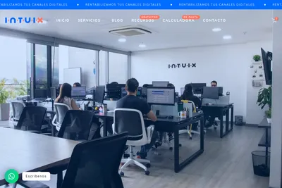 Screenshot of the Intuix homepage