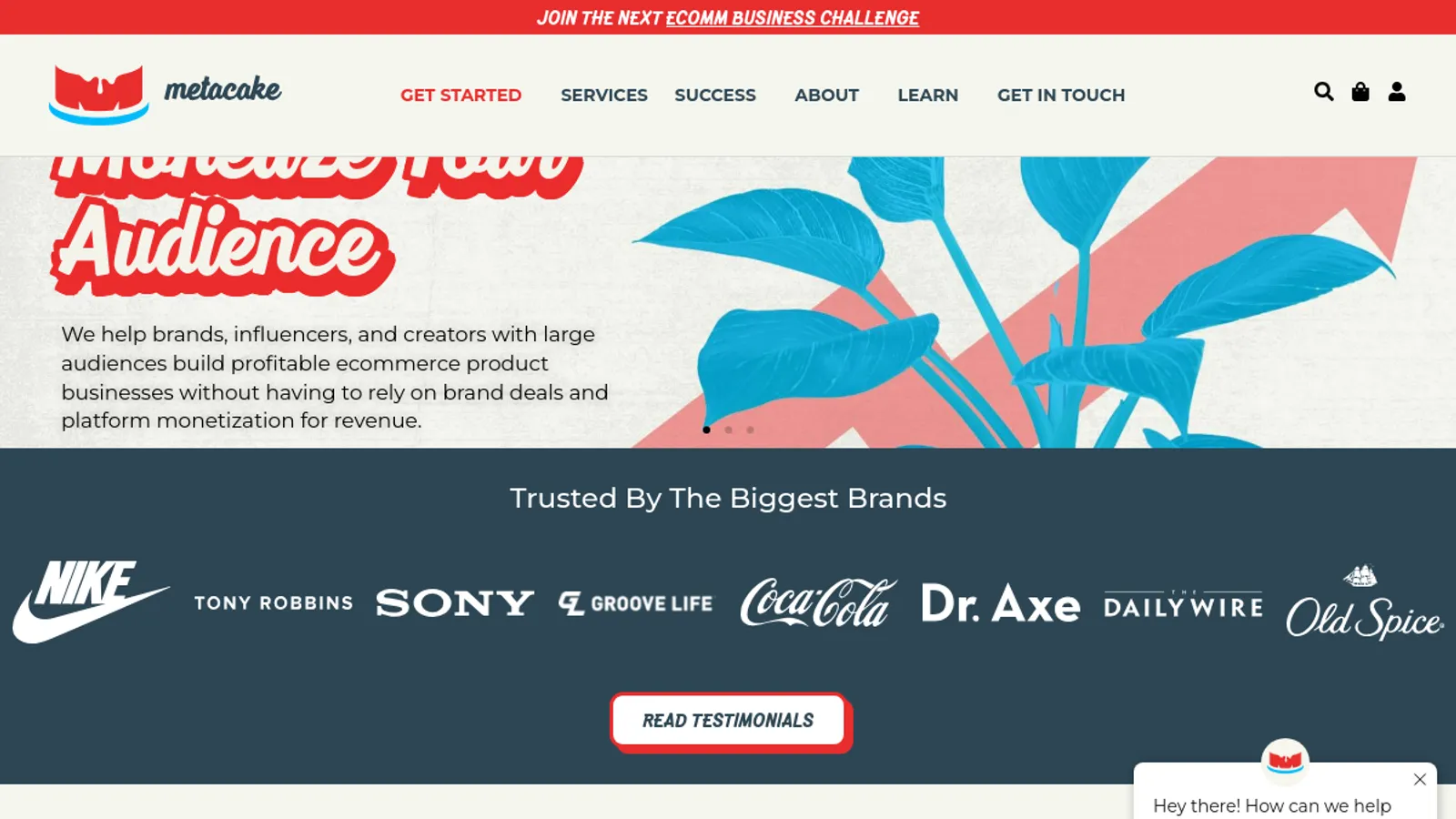 Screenshot of the Metacake homepage