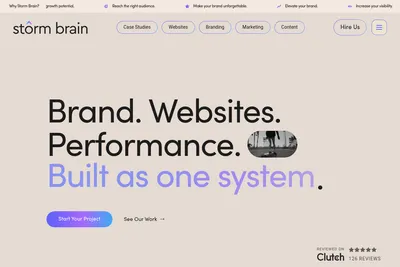 Screenshot of the Storm Brain homepage