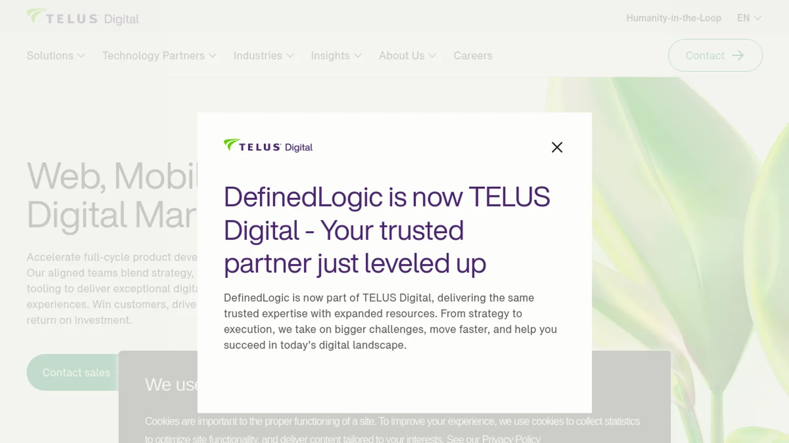 Screenshot of the DefinedLogic, LLC homepage