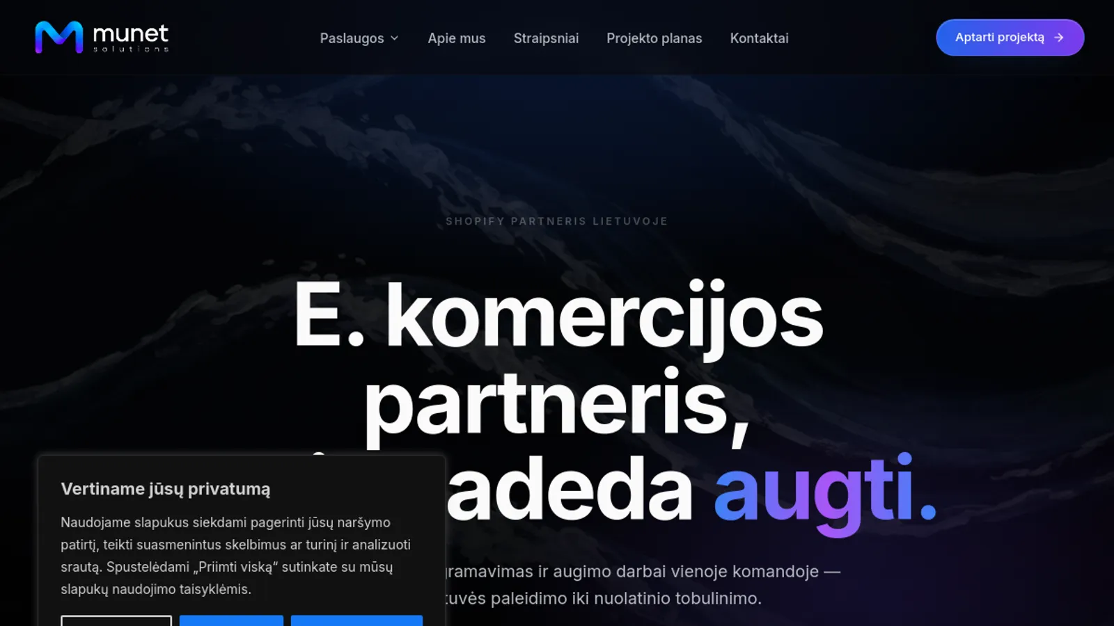Screenshot of the Munet Solutions homepage
