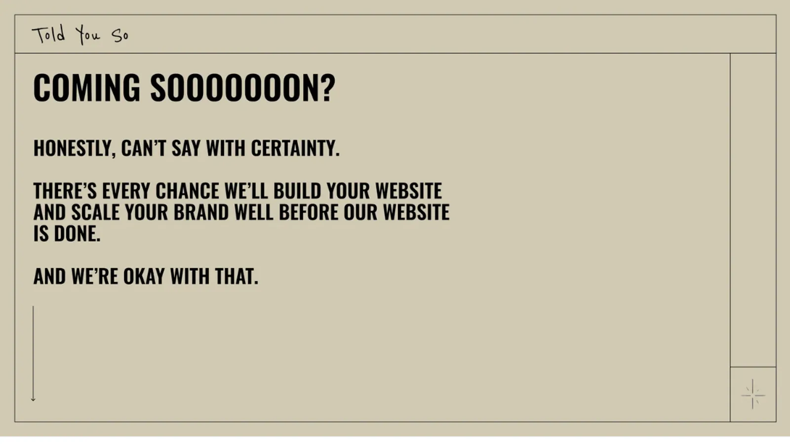 Screenshot of the TYS Performance Marketing Consultants LLP homepage