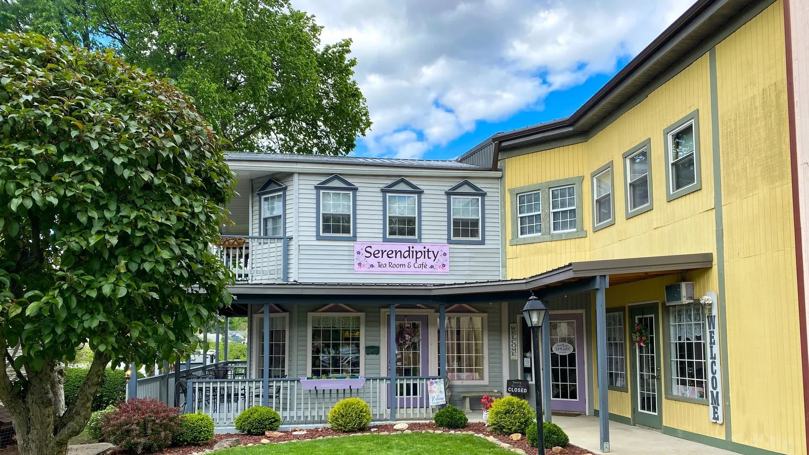 Serendipity Tea Room and Cafe