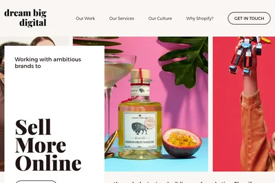 Screenshot of the Dream Big Digital homepage