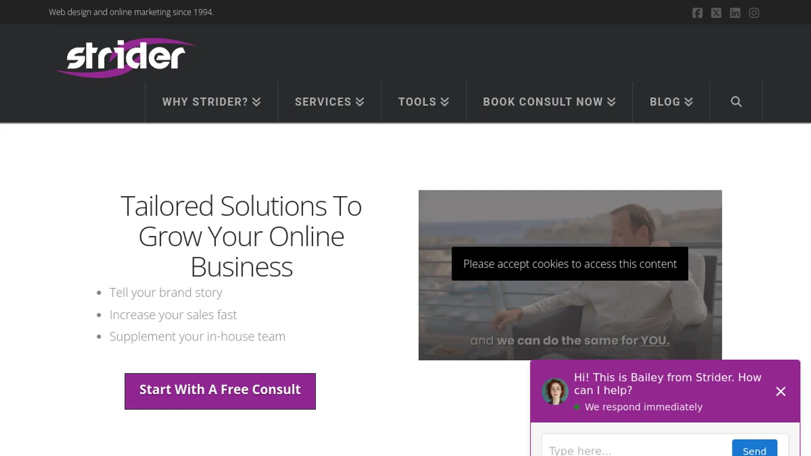 Screenshot of the Strider homepage