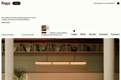 Screenshot of the Baggy homepage