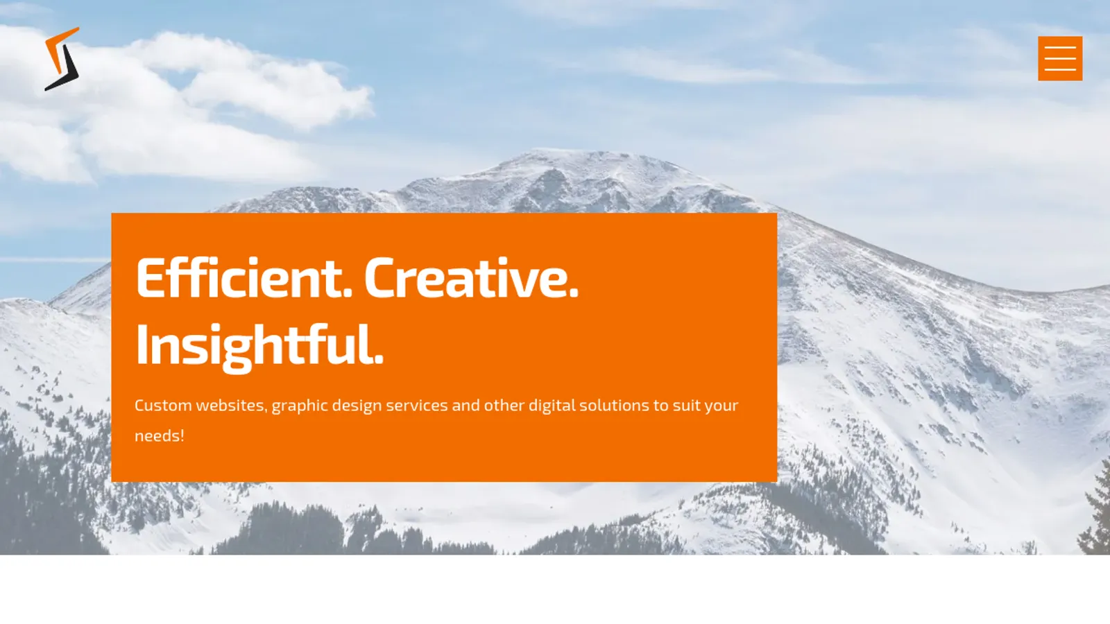 Screenshot of the Trinamic Digital Solutions homepage