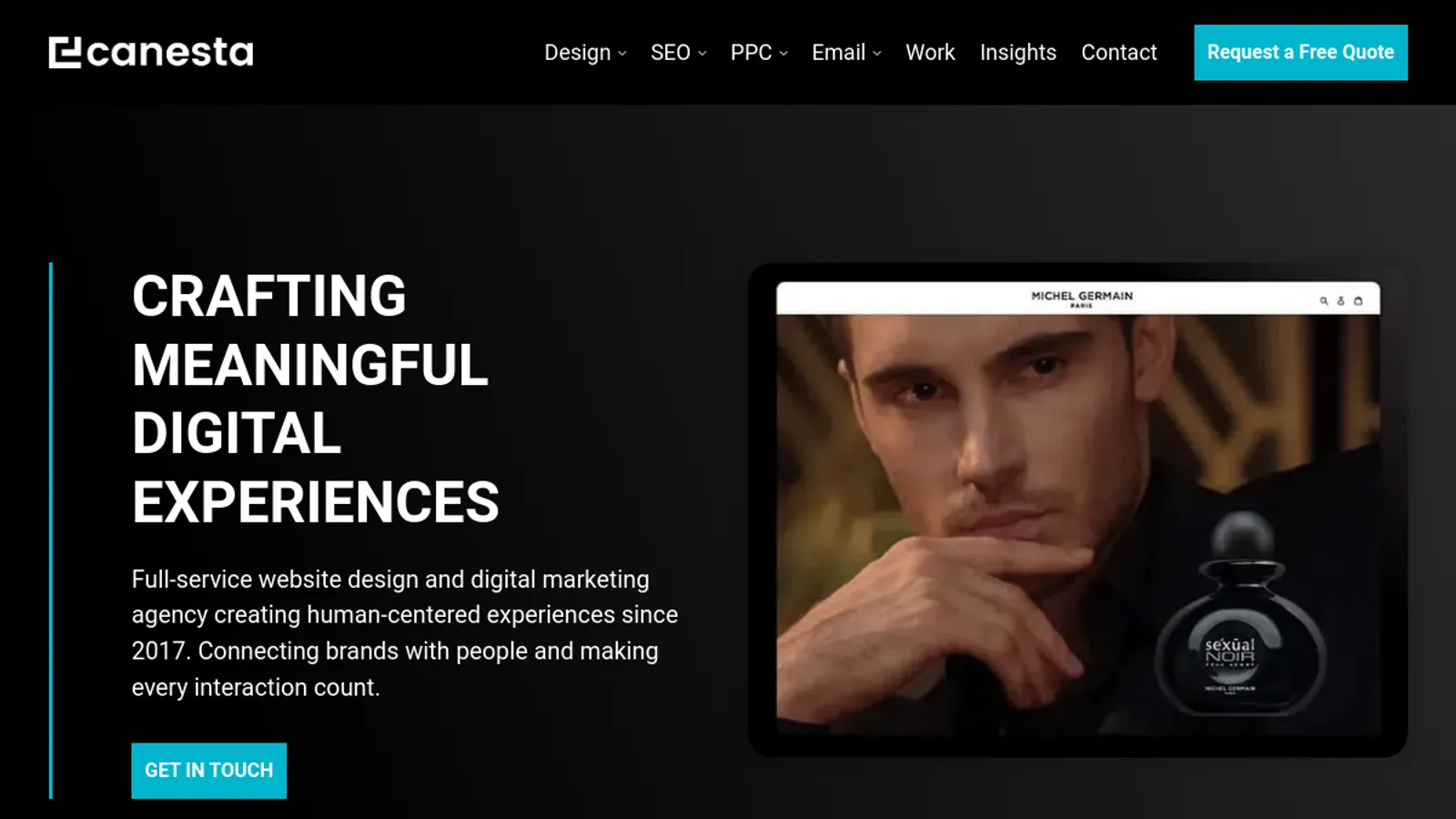 Screenshot of the Canesta homepage