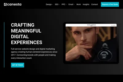 Screenshot of the Canesta homepage