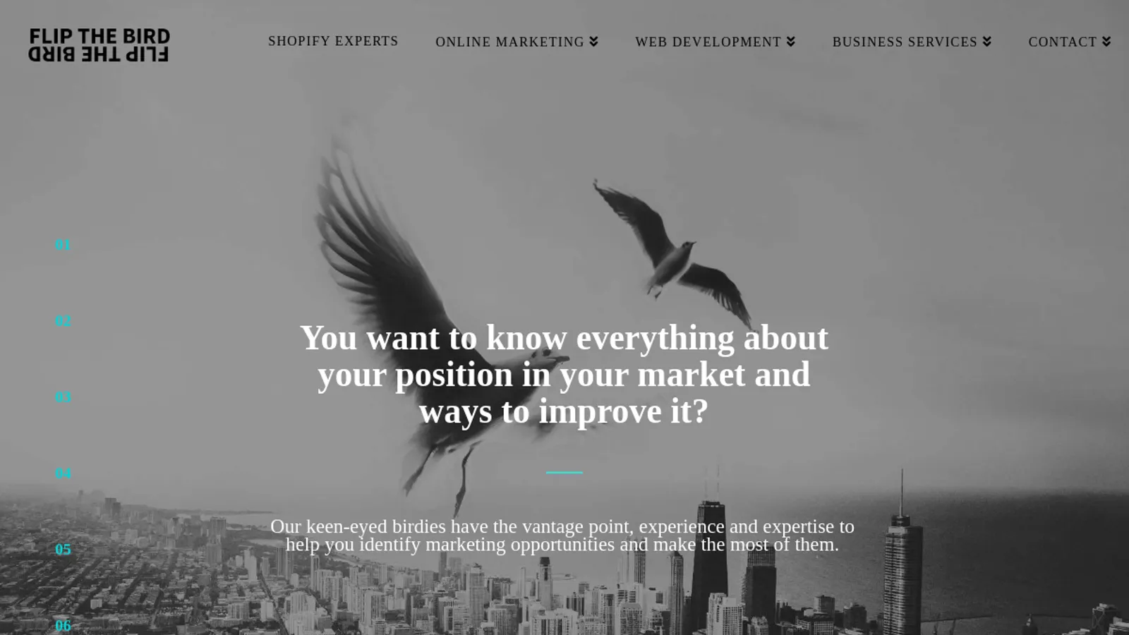 Screenshot of the Flip the bird ebvba homepage