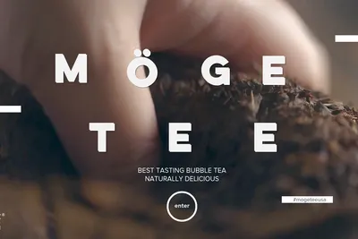 Moge Tee UIUC website homepage