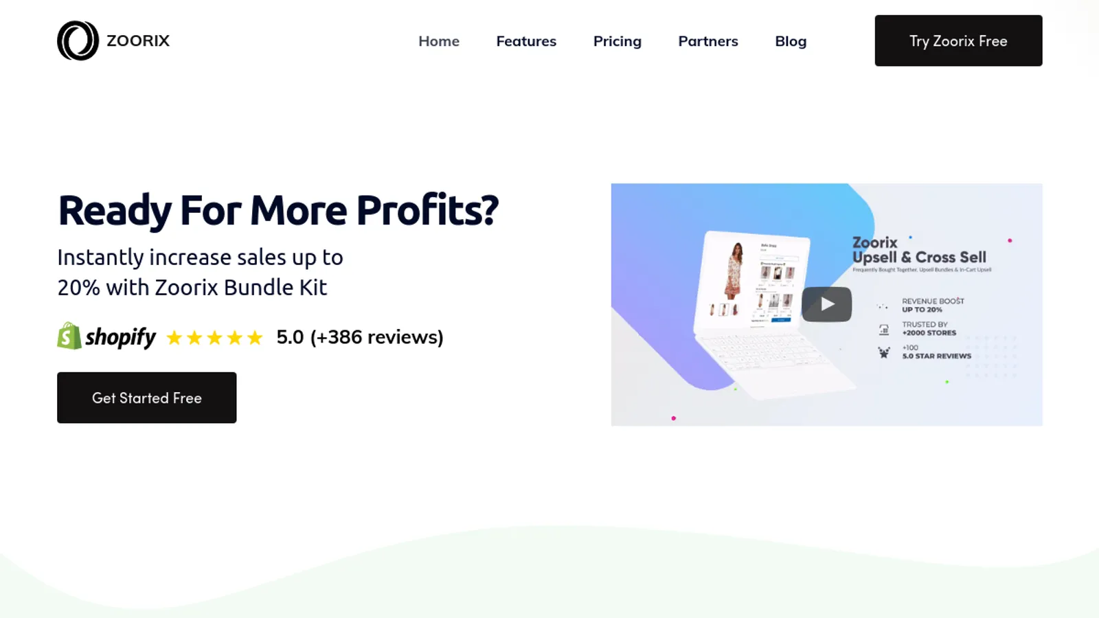 Screenshot of the Zoorix homepage