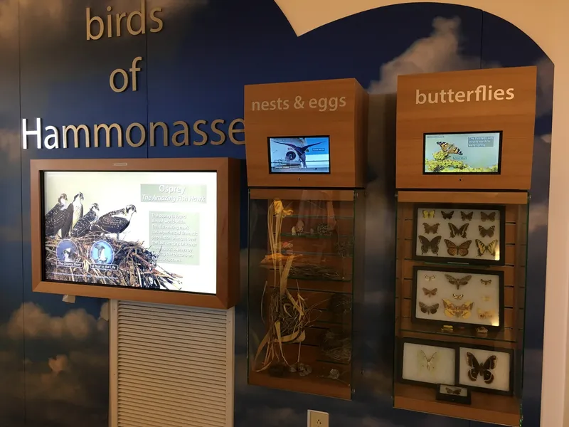 Display about birds of Hammonasset Beach State Park at the Meigs Point Nature Center