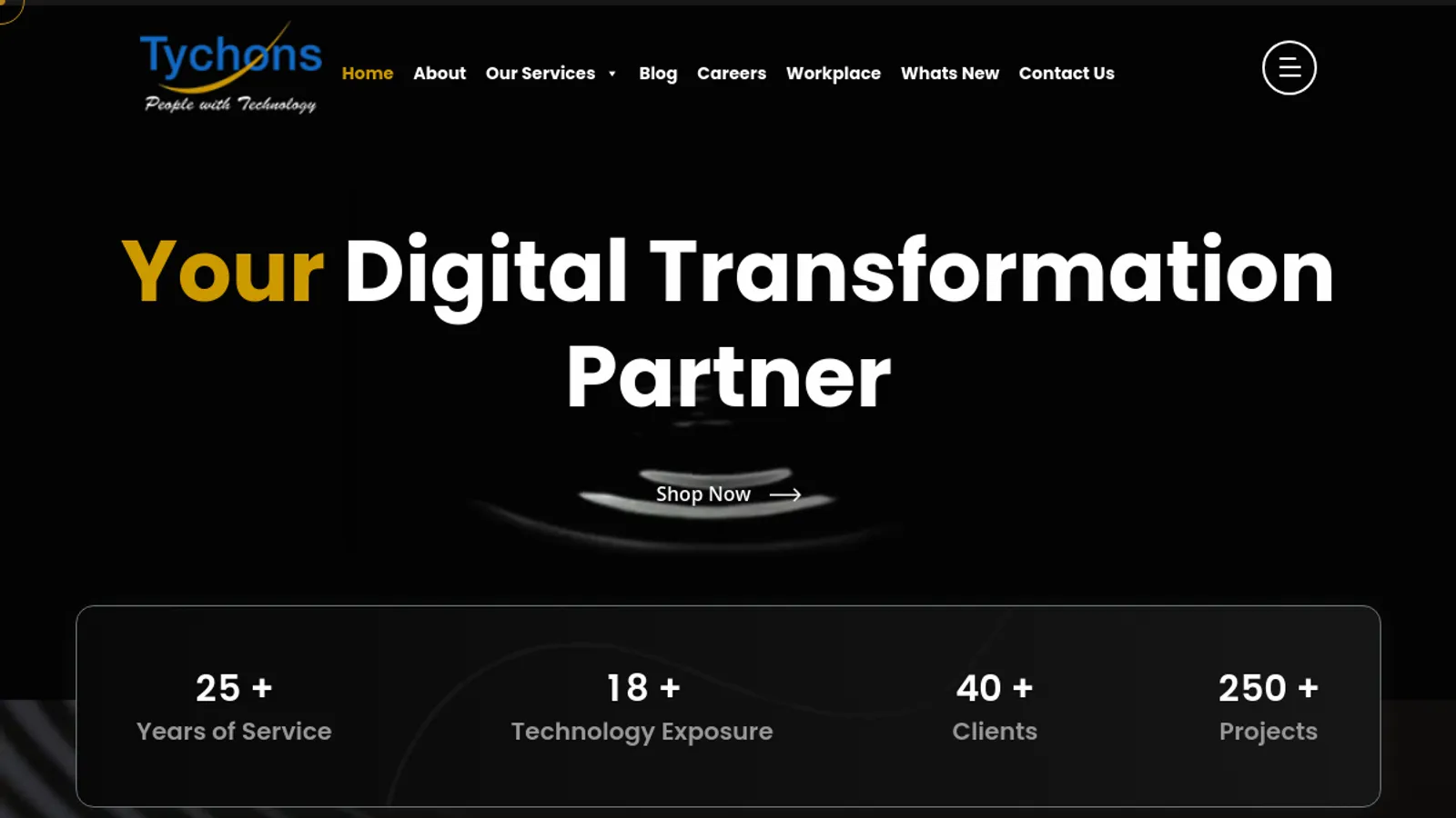 Screenshot of the Tychons USA LLC homepage