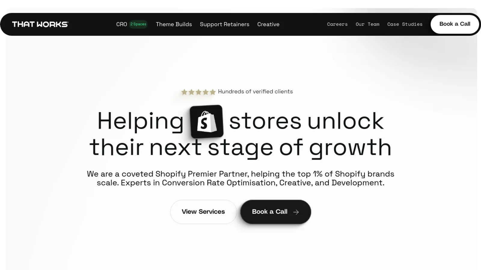 Screenshot of the That Works Agency homepage
