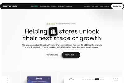 Screenshot of the That Works Agency homepage