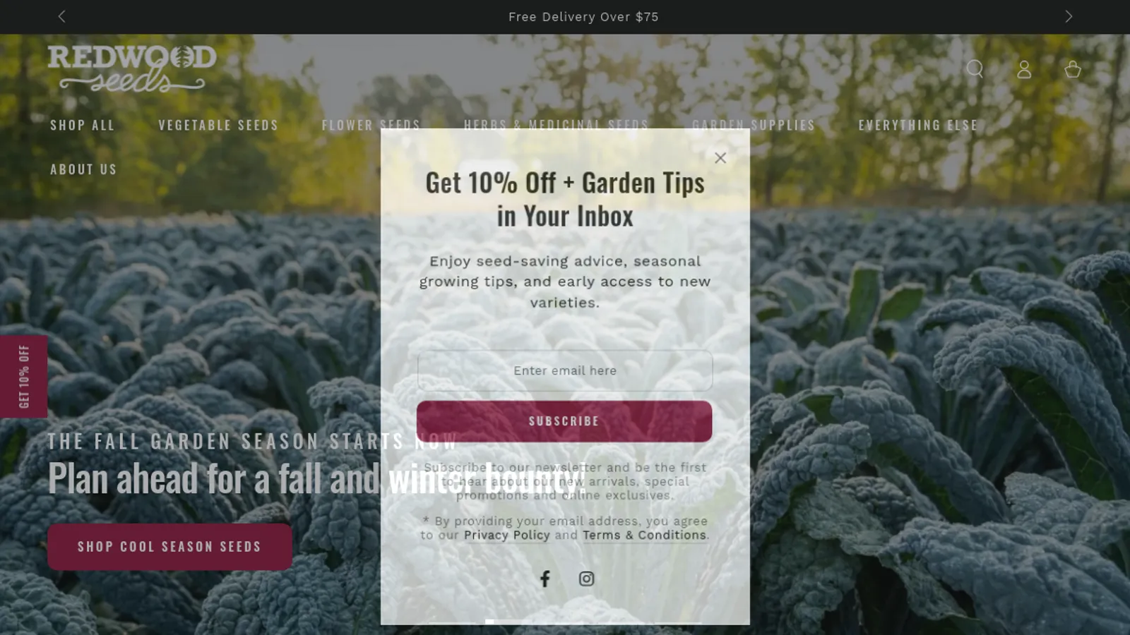 Screenshot of the Advanced Designs homepage
