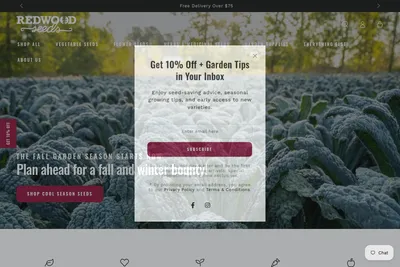 Screenshot of the Advanced Designs homepage
