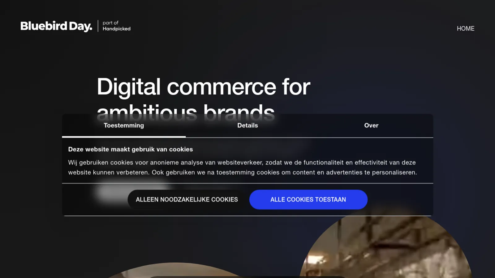Screenshot of the Bluebird Day homepage