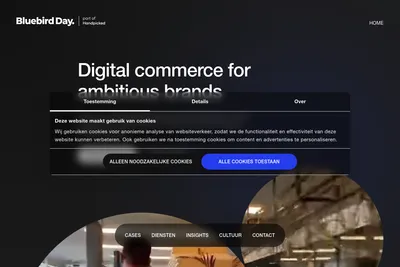 Screenshot of the Bluebird Day homepage