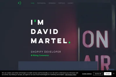 Screenshot of the Rising Commerce homepage