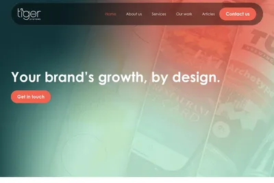 Screenshot of the Tiger Systems Ltd homepage