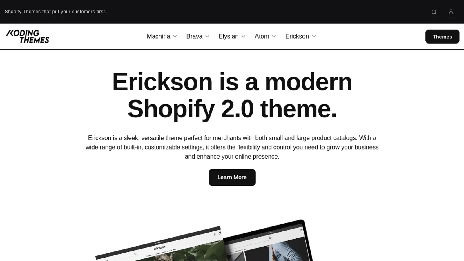 Screenshot of the Koding Themes homepage