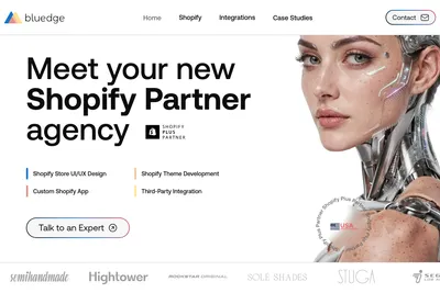Screenshot of the Bluedge USA homepage