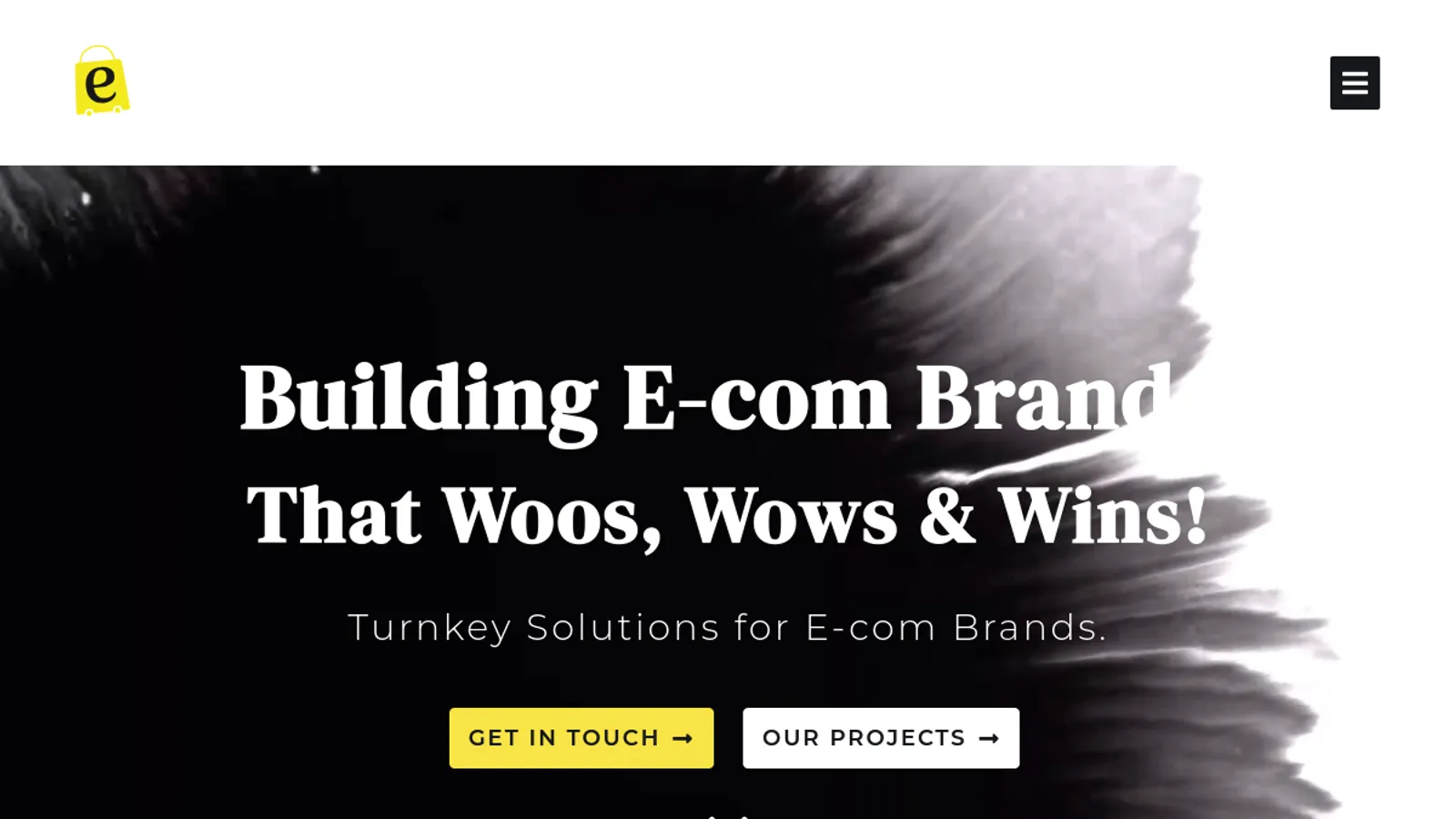 Screenshot of the Ekommerce360 homepage