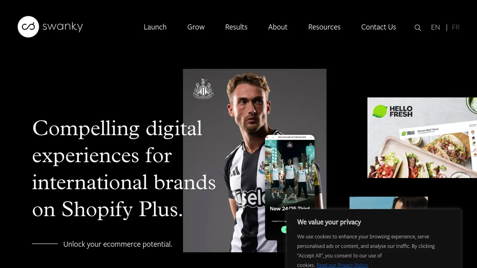 Screenshot of the Swanky homepage