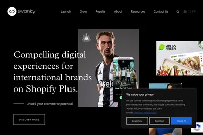 Screenshot of the Swanky homepage