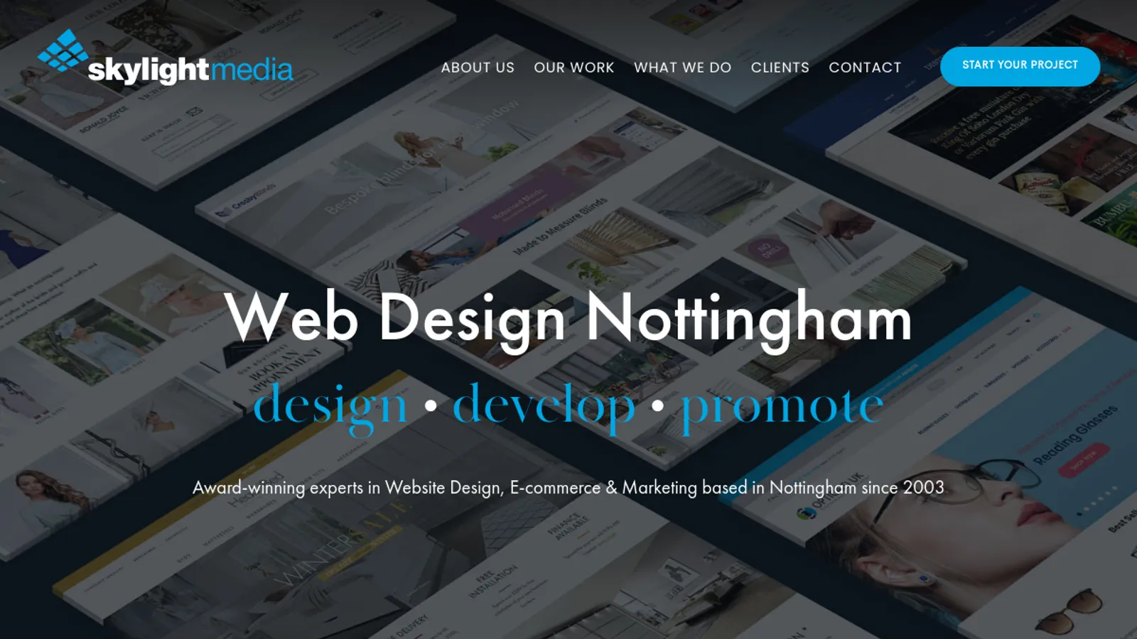 Screenshot of the Skylight Media homepage