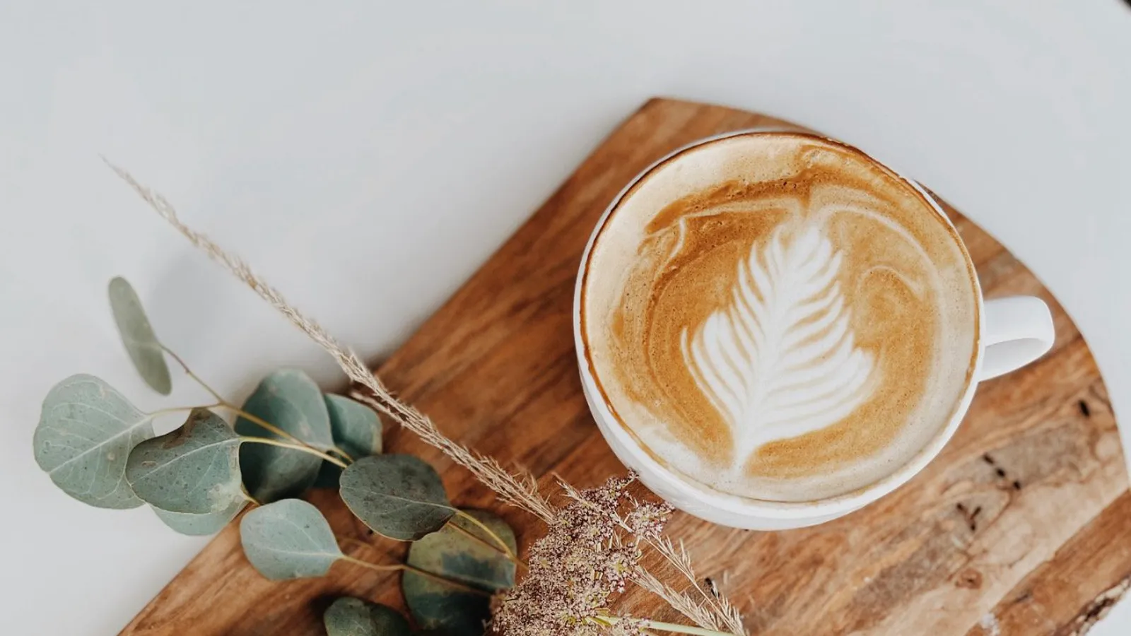 New Holland Coffee Co.