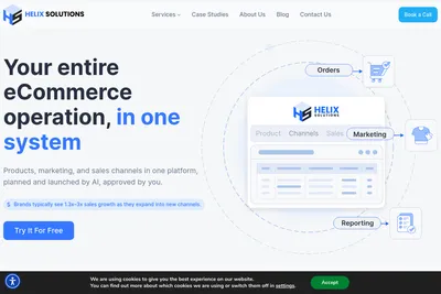 Screenshot of the Ecomitize LLC homepage