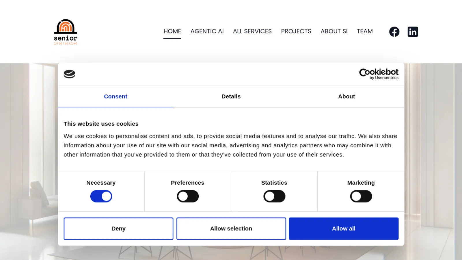 Screenshot of the Senior Interactive SRL homepage