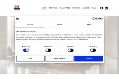 Screenshot of the Senior Interactive SRL homepage