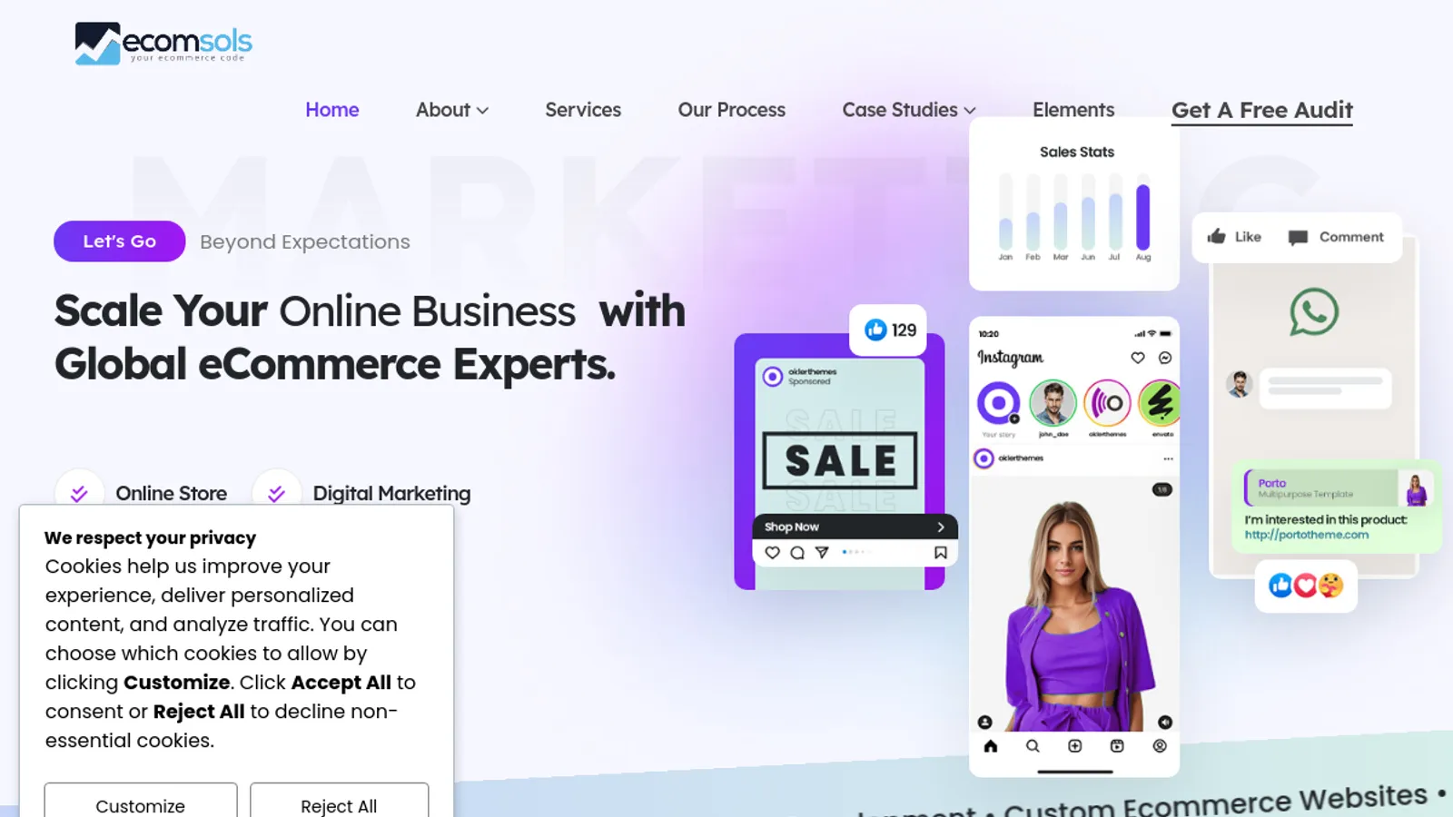 Screenshot of the Ecomsols homepage