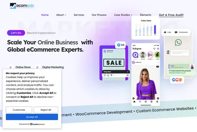 Screenshot of the Ecomsols homepage