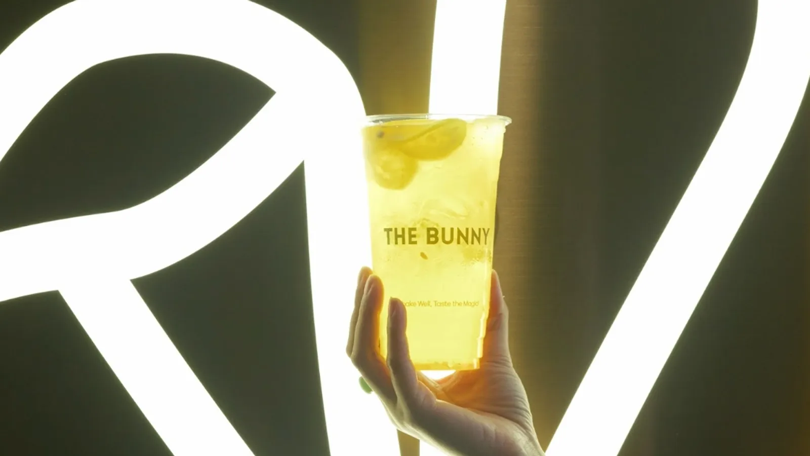 The Bunny