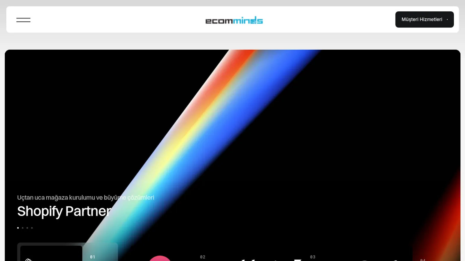 Screenshot of the EcomMinds homepage