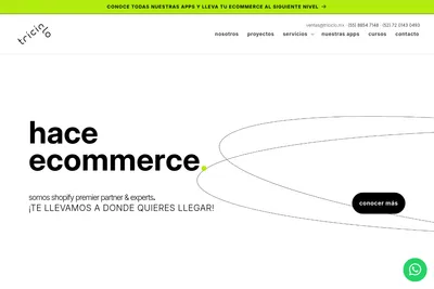 Screenshot of the Triciclo homepage