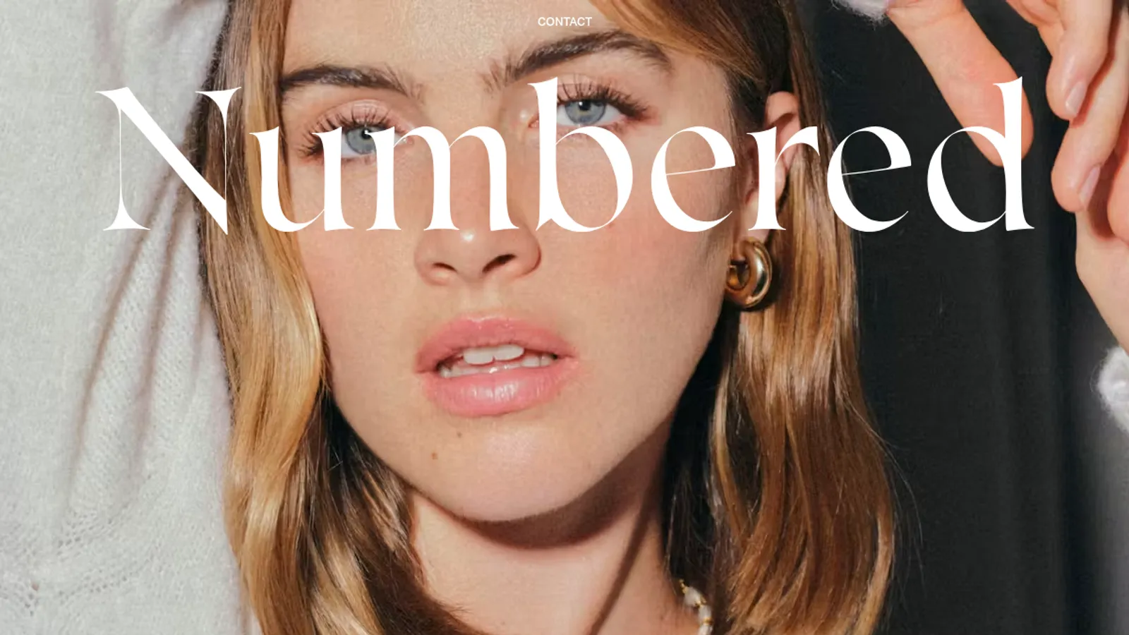 Screenshot of the Numbered homepage