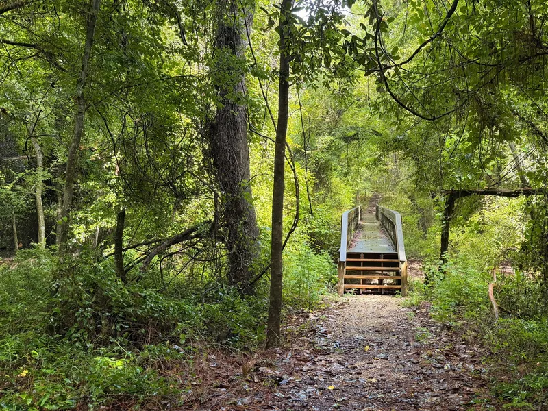 Bridge at Lake Jackson Mounds Archaeological State Park